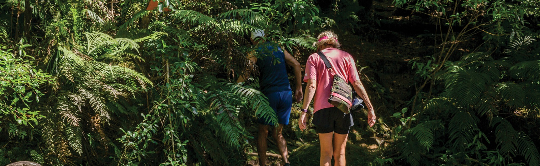 walking in the forest
