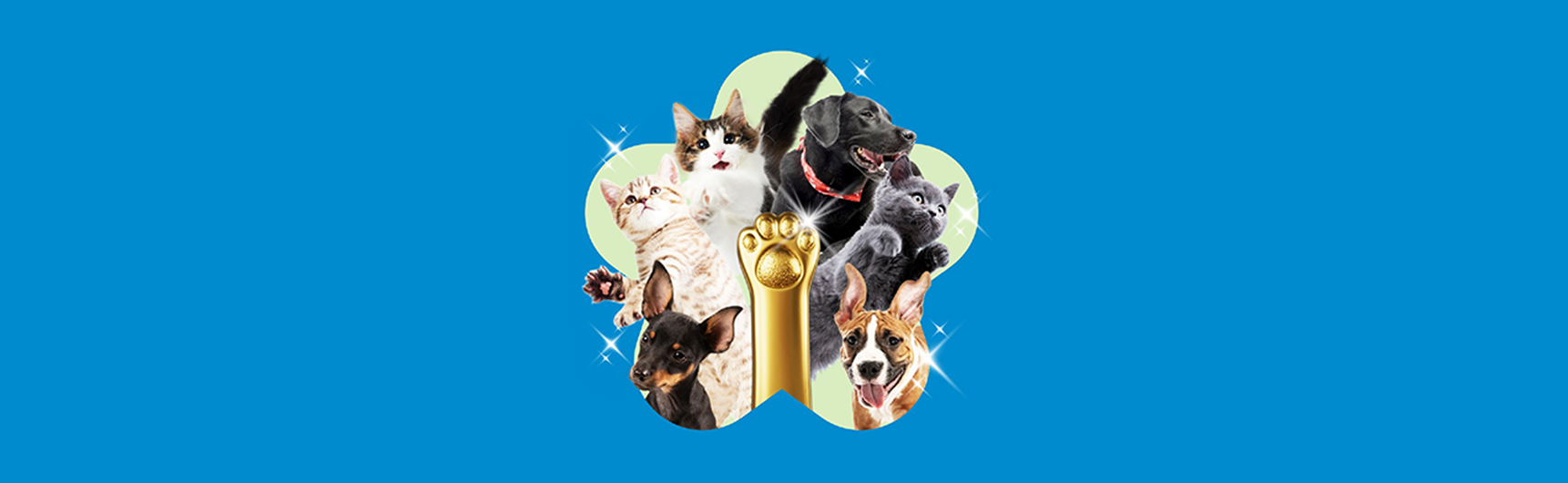 Southern Cross Pet Insurance Pawsies awards