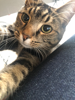 SCPI most expensive claims 200x300